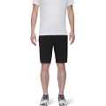 Mammut hiking shorts (lightweight, stretchy, water-repellent) short phantom grey men